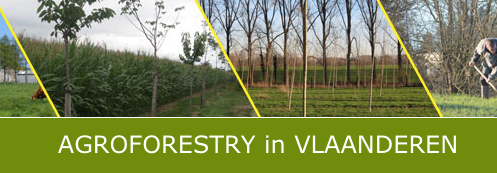Bericht Agroforestry Vlaanderen bekijken